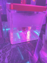 Club GOLD - Yちゃんの女の子ブログ画像