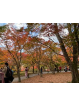 Club GOLD - Yちゃんの女の子ブログ画像