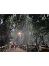 Club GOLD - Yちゃんの女の子ブログ画像