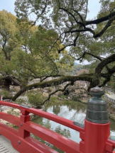 Club GOLD - Yちゃんの女の子ブログ画像