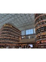 Club GOLD - Yちゃんの女の子ブログ画像