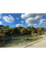 Club GOLD - Yちゃんの女の子ブログ画像