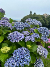 Club GOLD - Yちゃんの女の子ブログ画像