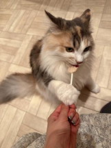 Club GOLD - Yちゃんの女の子ブログ画像