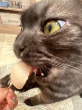 Club GOLD - Yちゃんの女の子ブログ画像