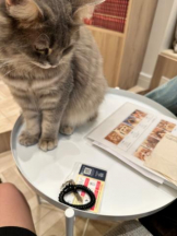 Club GOLD - Yちゃんの女の子ブログ画像