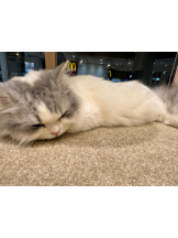 Club GOLD - Yちゃんの女の子ブログ画像