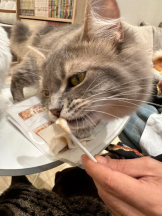 Club GOLD - Yちゃんの女の子ブログ画像