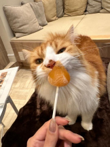 Club GOLD - Yちゃんの女の子ブログ画像