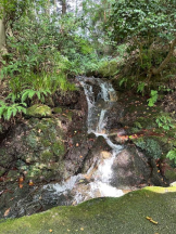 Club GOLD - Yちゃんの女の子ブログ画像