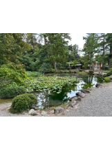 Club GOLD - Yちゃんの女の子ブログ画像