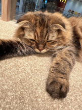 Club GOLD - Yちゃんの女の子ブログ画像