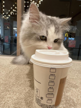 Club GOLD - Yちゃんの女の子ブログ画像