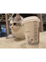 Club GOLD - Yちゃんの女の子ブログ画像