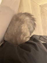 Club GOLD - Yちゃんの女の子ブログ画像