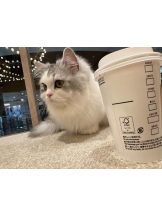 Club GOLD - Yちゃんの女の子ブログ画像