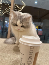 Club GOLD - Yちゃんの女の子ブログ画像