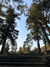 Club GOLD - Yちゃんの女の子ブログ画像