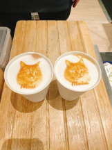 Club GOLD - Yちゃんの女の子ブログ画像