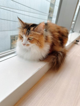 Club GOLD - Yちゃんの女の子ブログ画像