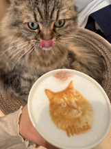 Club GOLD - Yちゃんの女の子ブログ画像