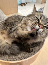 Club GOLD - Yちゃんの女の子ブログ画像