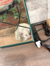 Club GOLD - Yちゃんの女の子ブログ画像