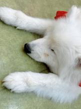 Club GOLD - Yちゃんの女の子ブログ画像