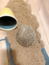 Club GOLD - Yちゃんの女の子ブログ画像