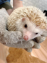 Club GOLD - Yちゃんの女の子ブログ画像