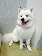 Club GOLD - Yちゃんの女の子ブログ画像