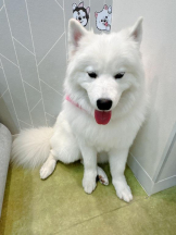 Club GOLD - Yちゃんの女の子ブログ画像