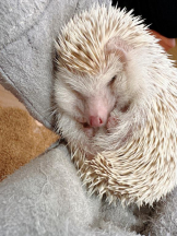 Club GOLD - Yちゃんの女の子ブログ画像