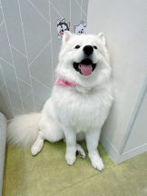 Club GOLD - Yちゃんの女の子ブログ画像