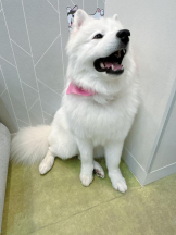 Club GOLD - Yちゃんの女の子ブログ画像