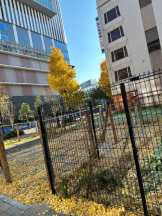 Club GOLD - Yちゃんの女の子ブログ画像