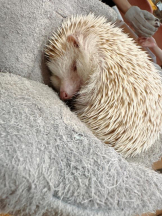 Club GOLD - Yちゃんの女の子ブログ画像