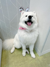 Club GOLD - Yちゃんの女の子ブログ画像