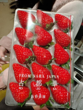 Club GOLD - Yちゃんの女の子ブログ画像