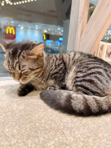 Club GOLD - Yちゃんの女の子ブログ画像