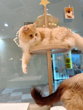 Club GOLD - Yちゃんの女の子ブログ画像