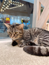 Club GOLD - Yちゃんの女の子ブログ画像