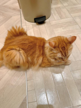 Club GOLD - Yちゃんの女の子ブログ画像