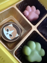 Club GOLD - Yちゃんの女の子ブログ画像