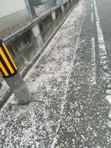 Club GOLD - Yちゃんの女の子ブログ画像