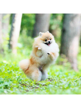 PURITY - らんの女の子ブログ画像