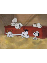 PURITY - らんの女の子ブログ画像