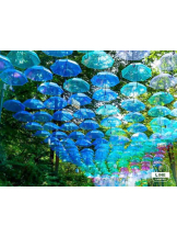 PURITY - らんの女の子ブログ画像