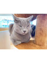 PURITY - らんの女の子ブログ画像