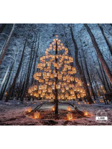 PURITY - らんの女の子ブログ画像